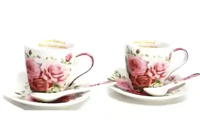 Set portelan W23P06-04266